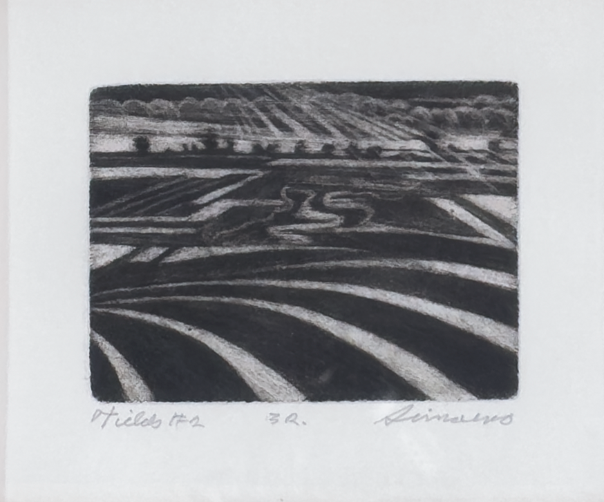 Fields