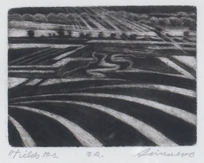 Fields