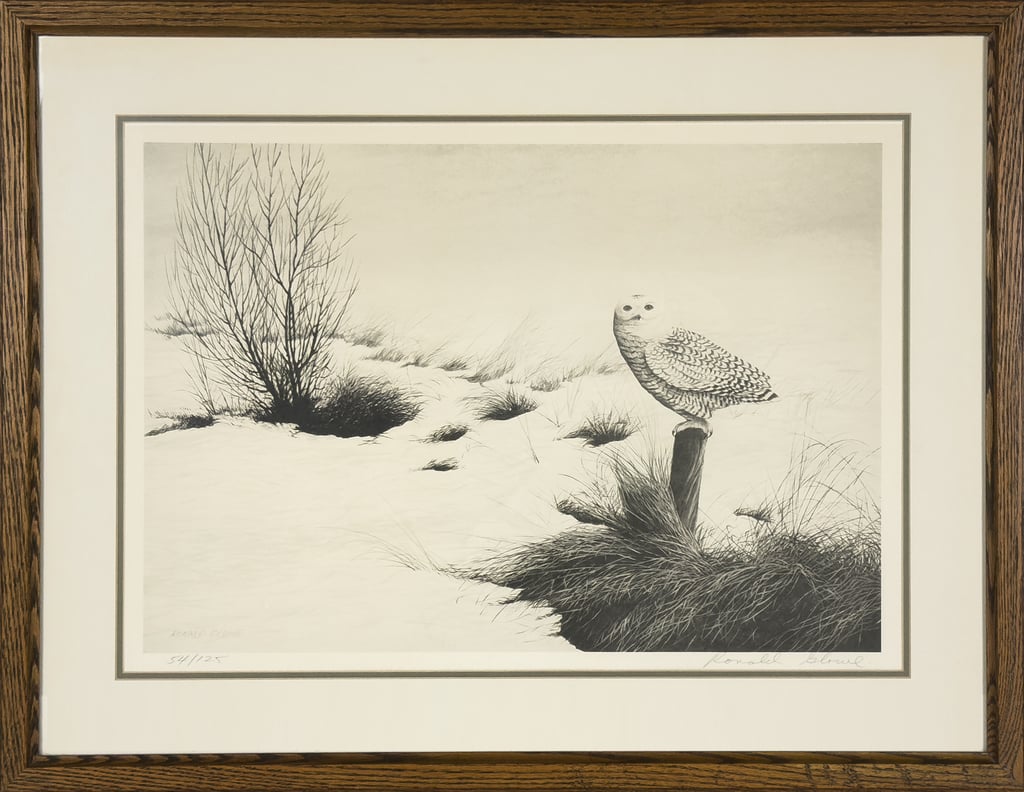 Snowy