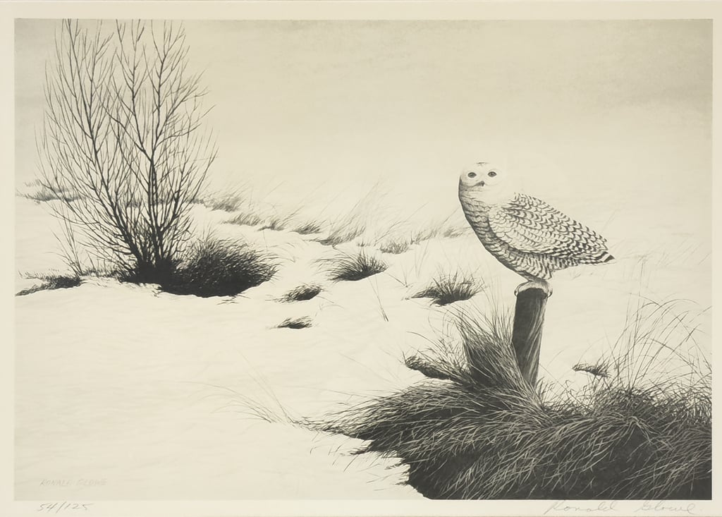 Snowy
