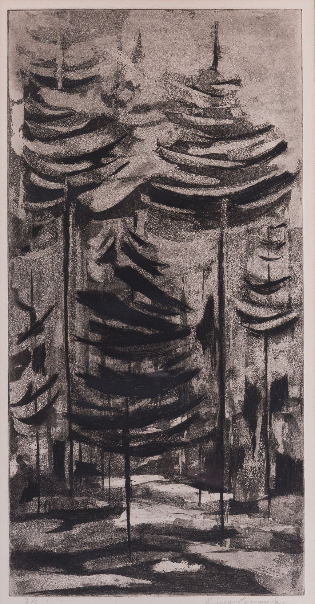 Pine