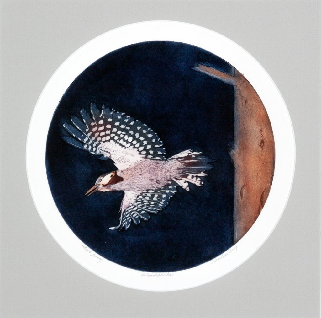 Woodpecker