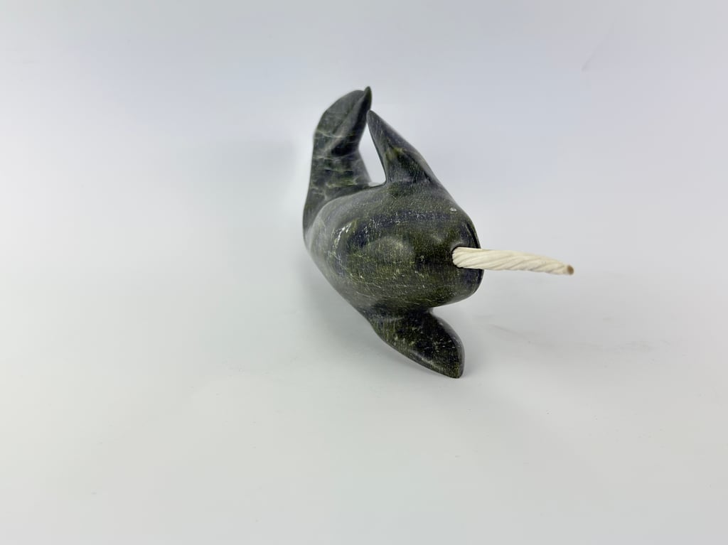 Narwhal