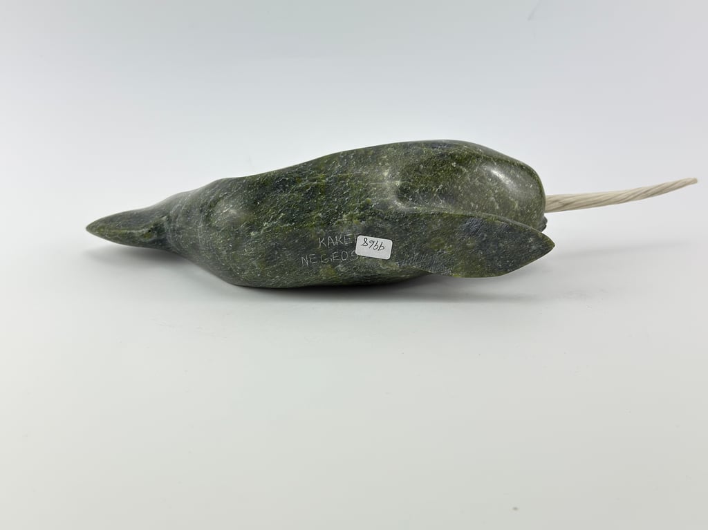 Narwhal