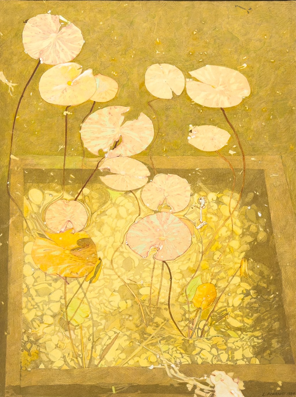 Lily