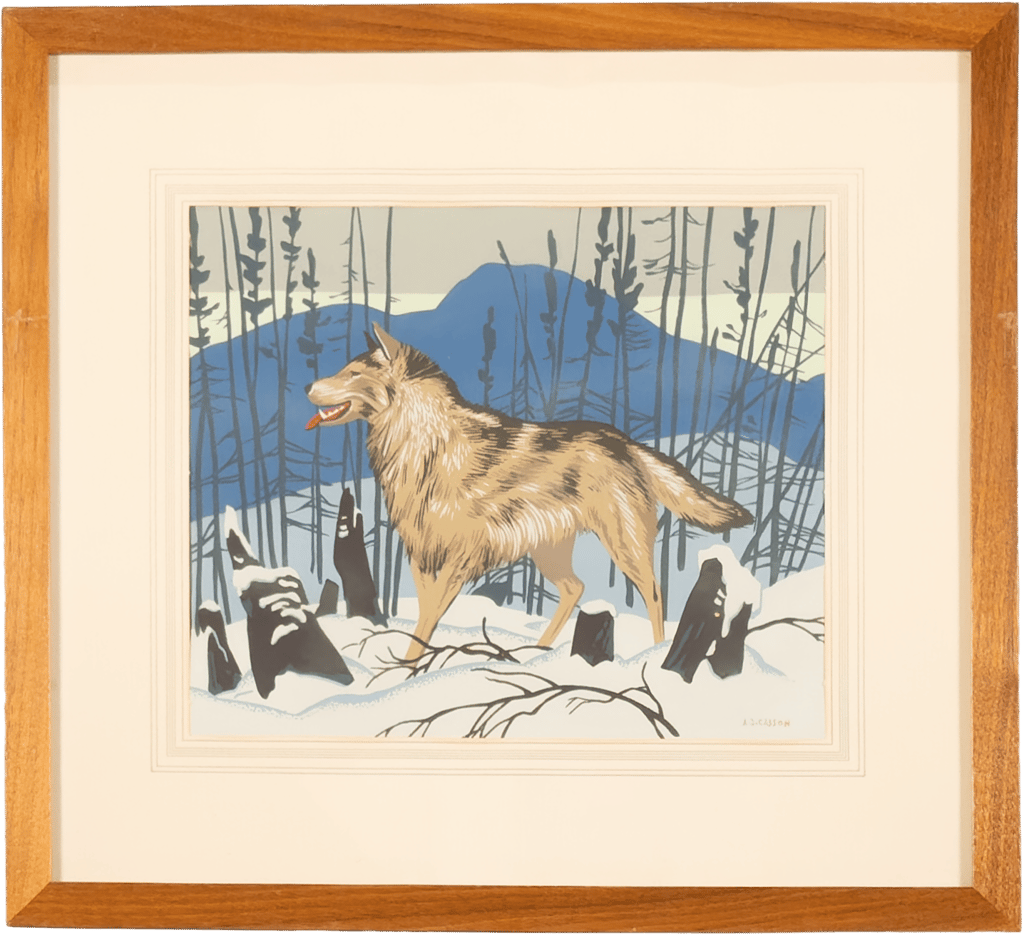 Wolf