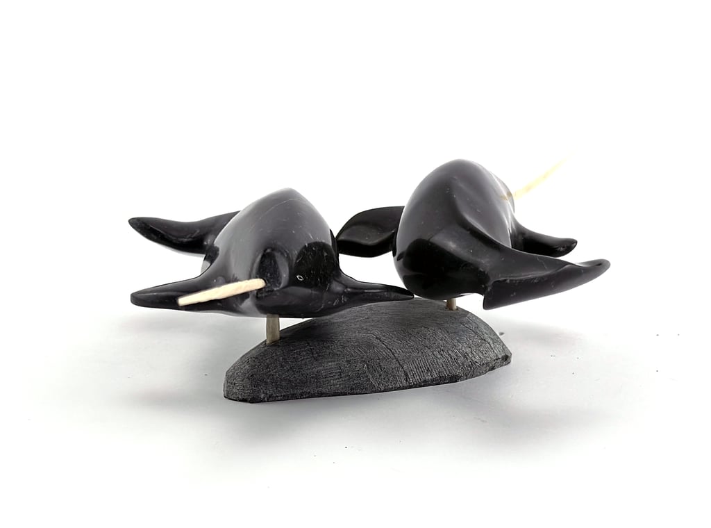 Narwhal