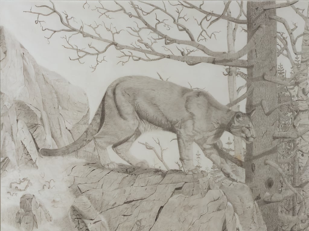 Cougar