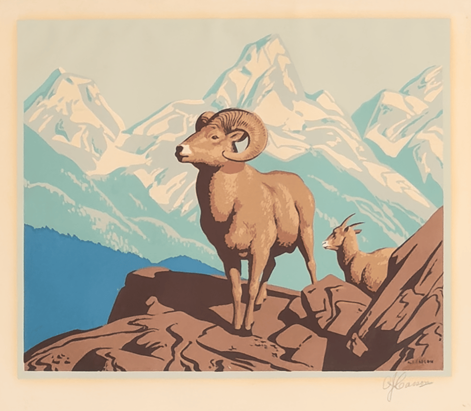 Bighorn