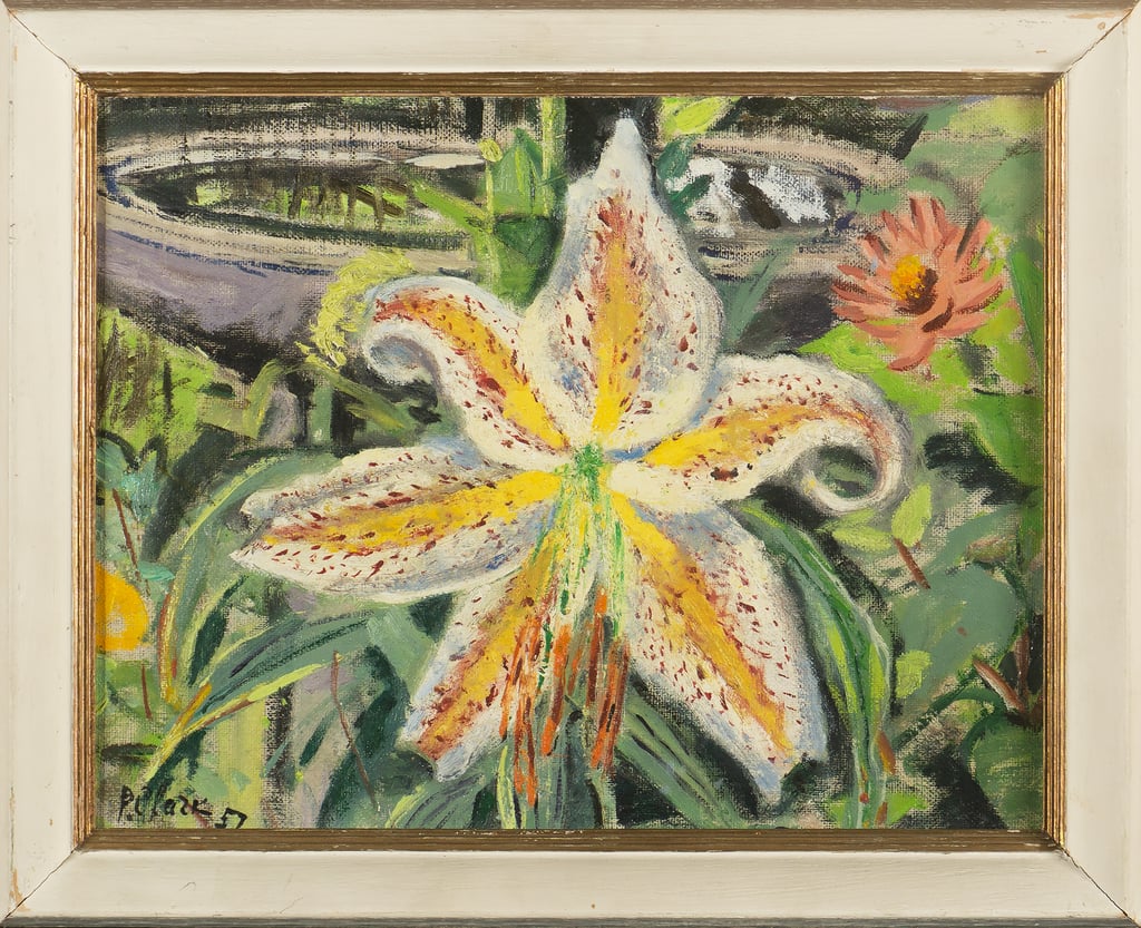 Lilium