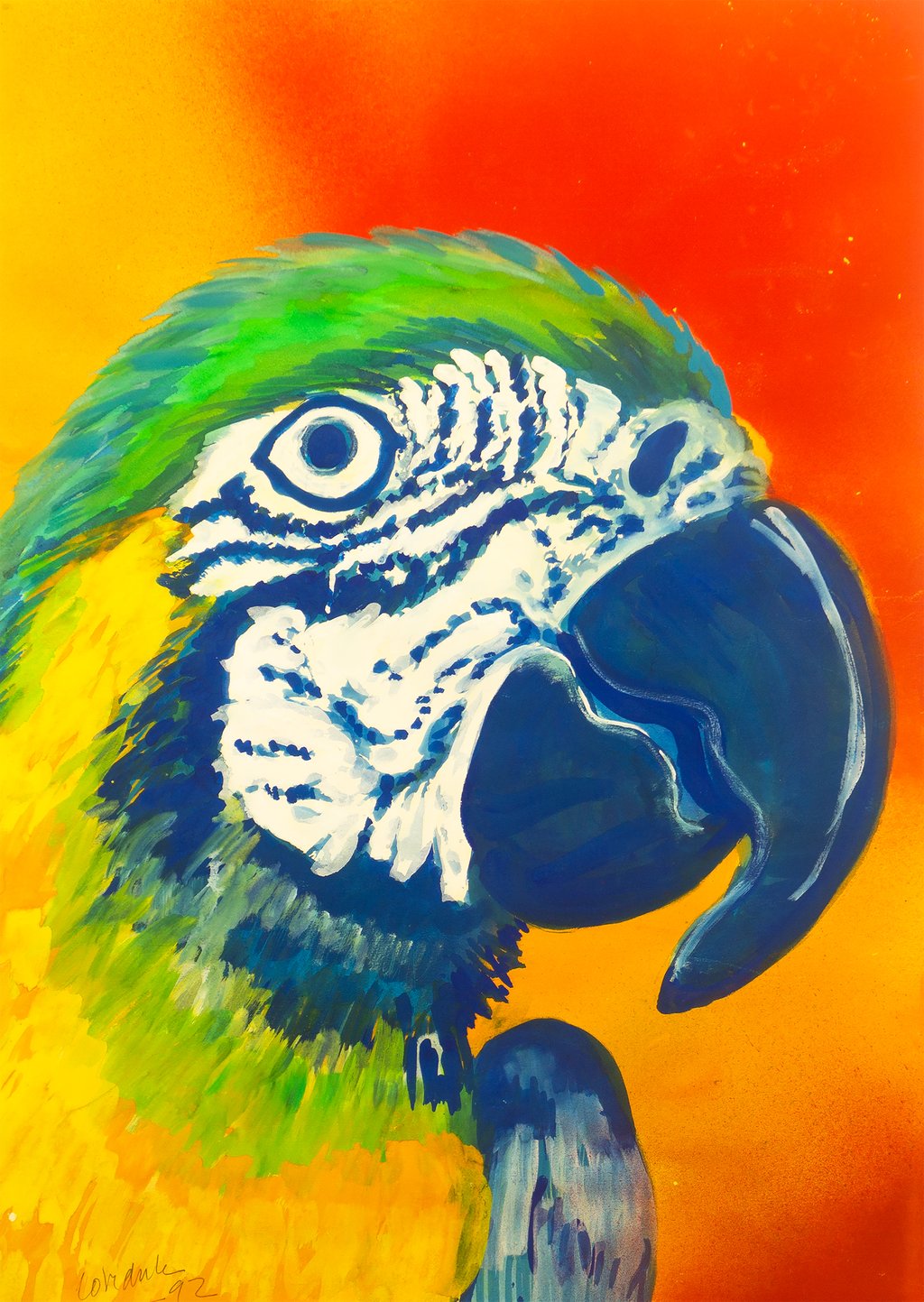 Parrot