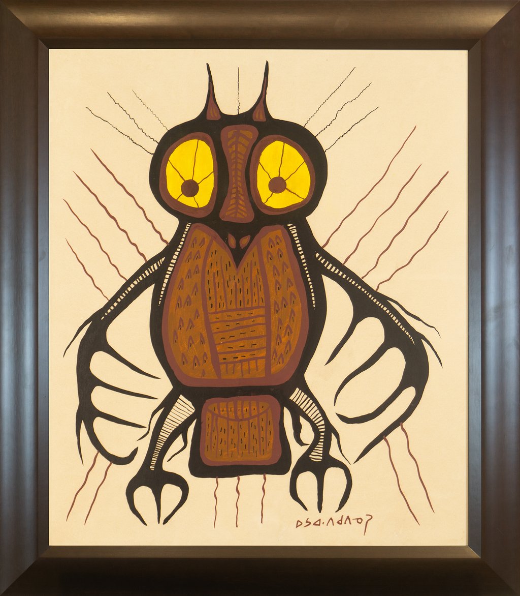 Owl