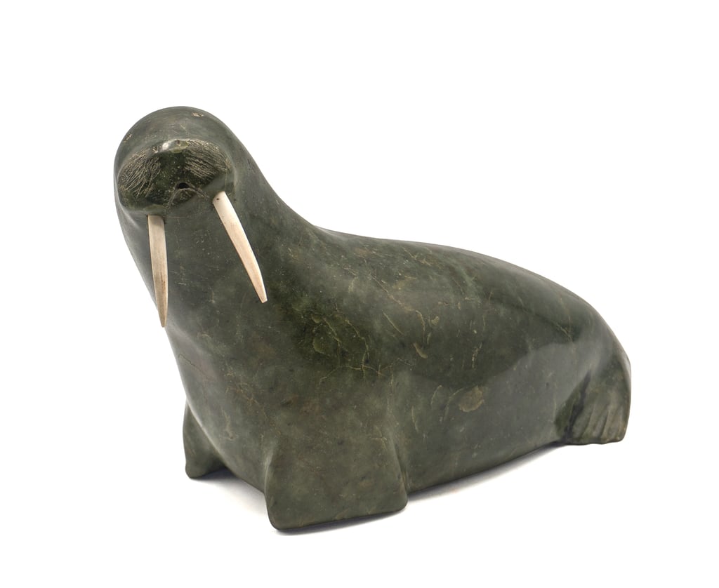 Walrus
