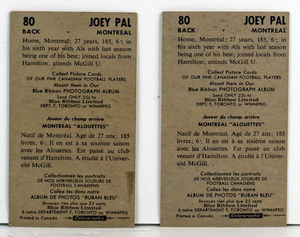 Joey