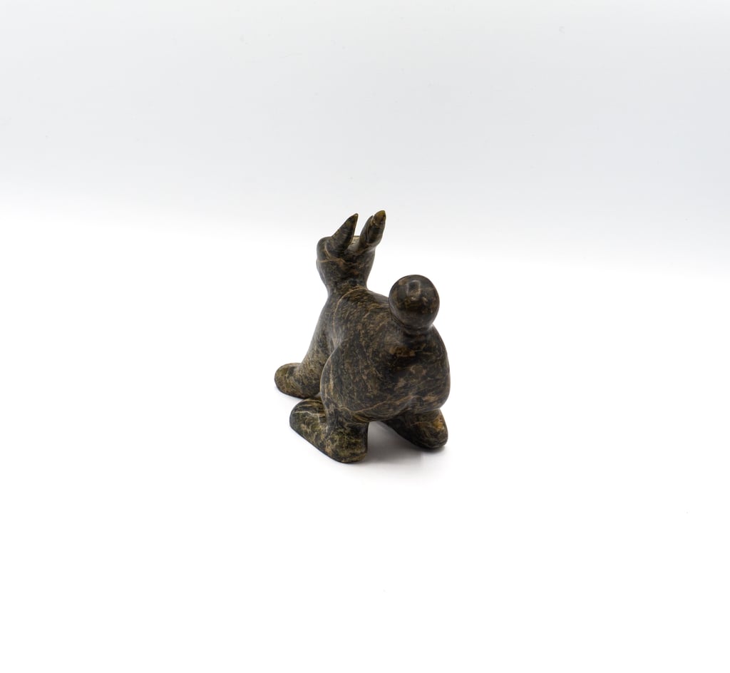 Hare
