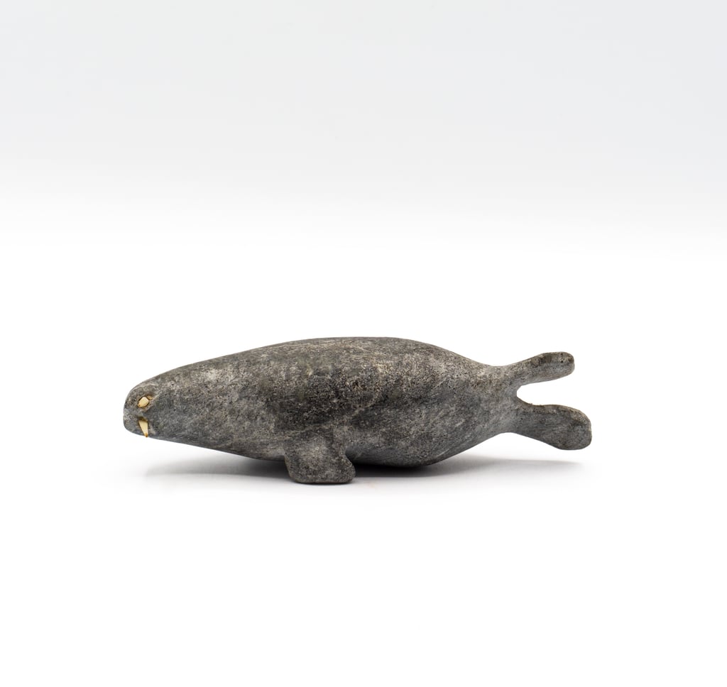 Walrus