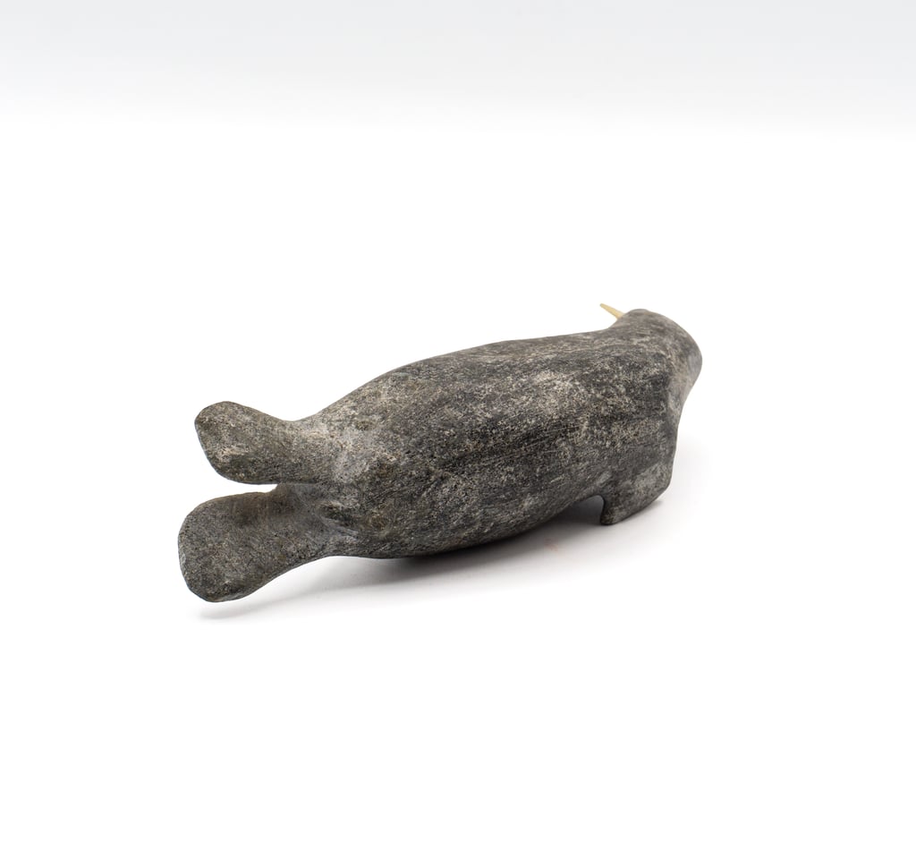 Walrus