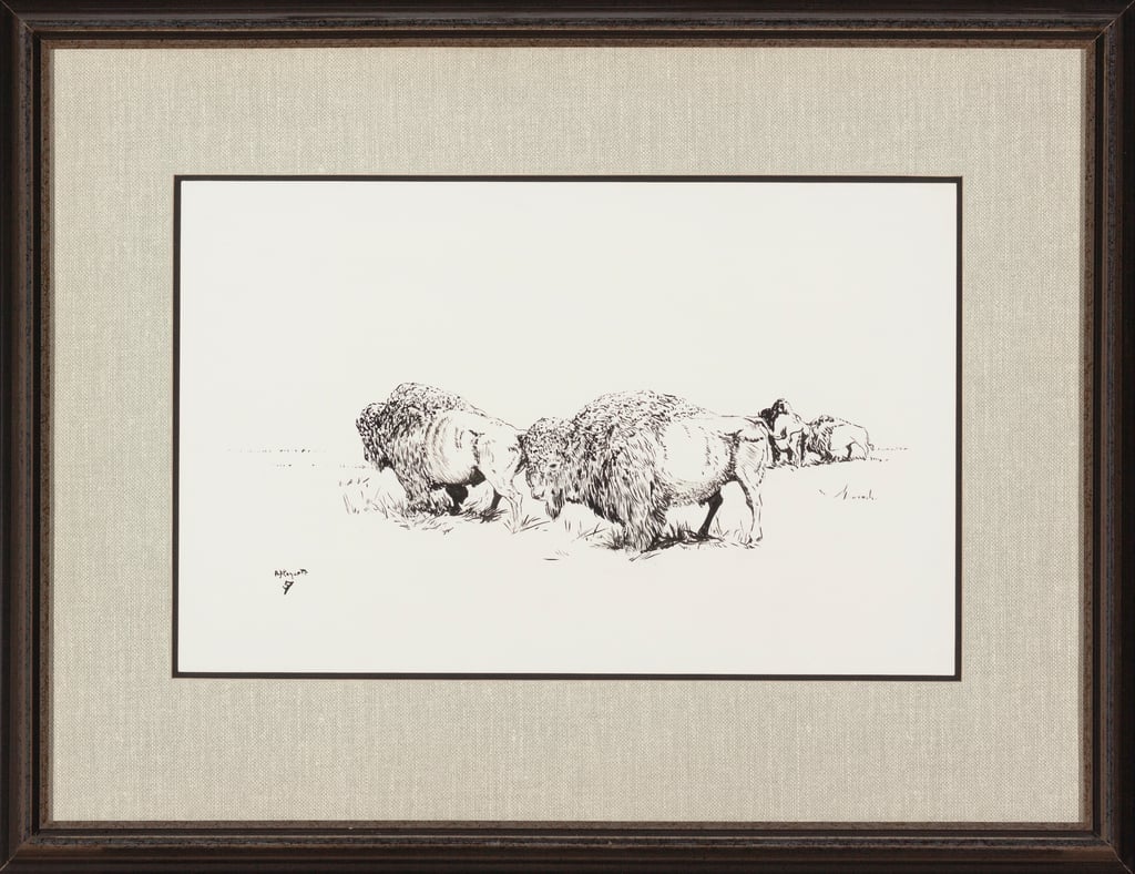 Buffalo