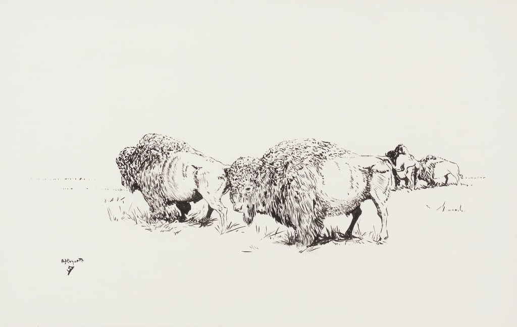 Buffalo