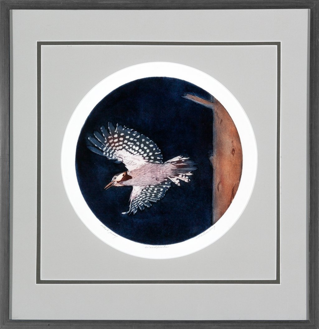 Woodpecker