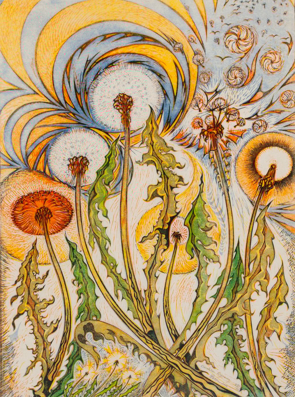 Dandelions