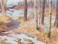 Cotter's Trail