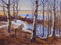 Pasture Poplars and Coyote