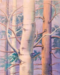 Lake Front Poplars