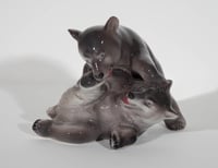 Wrestling Bear Cubs