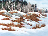 Winter Day