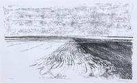 Plowed Field