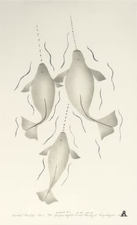 Narwals (Three Up)