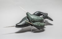 Narwhal Pod