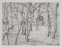 Trees and Houses in Winter