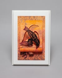 Untitled (Diving Bird)
