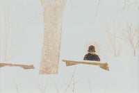 Watching the Snow, Mt. Royal