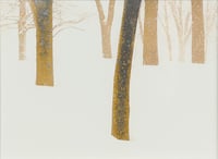 Trees on Mt. Royal
