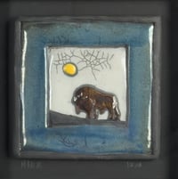 Bison