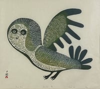 Lucy's Owl