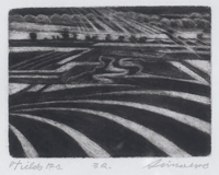 Fields #2