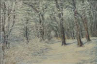 River Park Winter