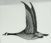 Canada Goose