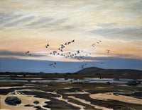 Black Ducks and Little Canadas going to Roost