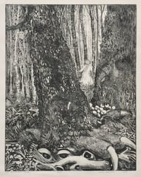 The Woodland Nymph
