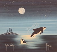 Killer Whales