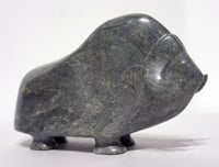 Standing Muskox