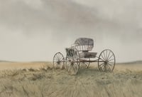 Democrat Wagon, Arden (Manitoba)