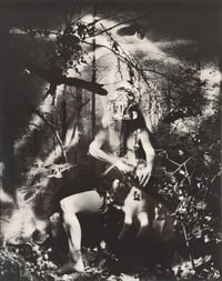 Untitled (Centaur in the Garden)
