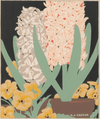 Hyacinths