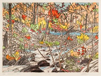 An Eastern Fall